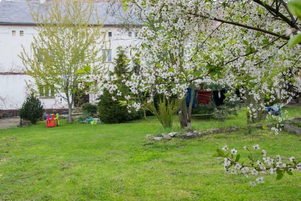 Gospodarstwo U Krakusa Doboszowice المظهر الخارجي الصورة